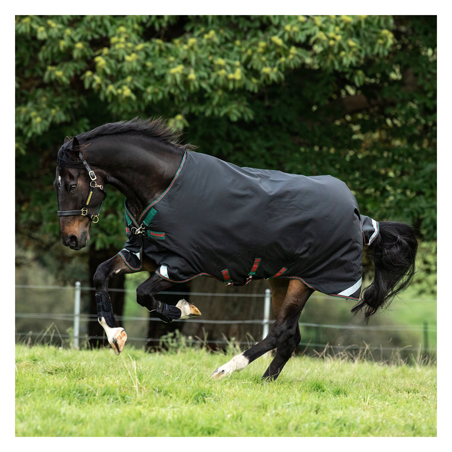 HORSEWARE Weidedecke RAMBO Original Medium - black