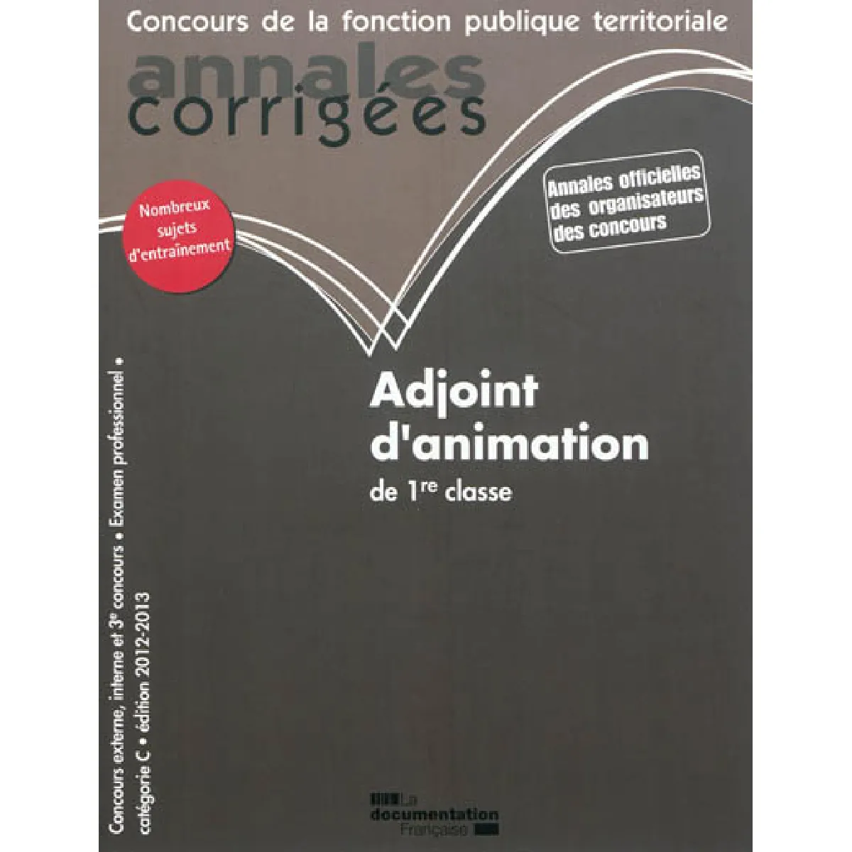 Adjoint d'animation de 1re classe : concours externe, interne et 3e concours, examen professionnel, catégorie C · Occasion