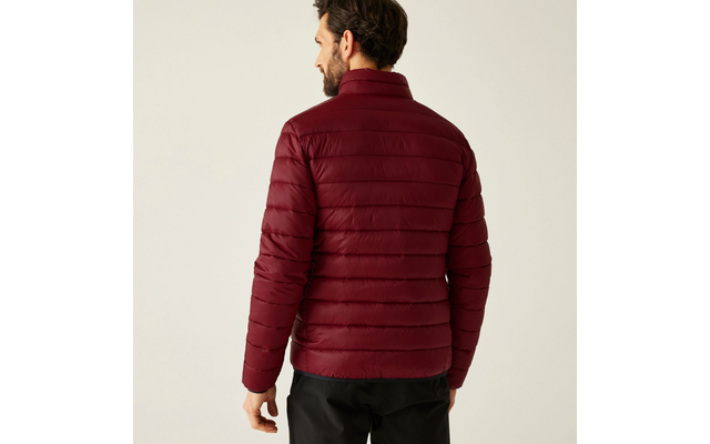 Regatta Marizion Herren Steppjacke