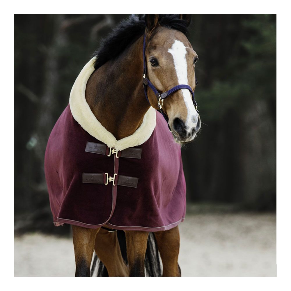 Kentucky SHOW HEAVY - Chemise séchante bordeaux