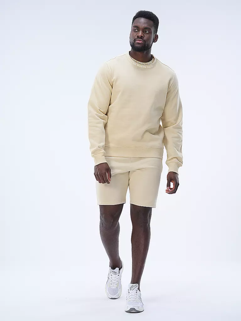 THE NORTH FACE Sweater  beige
