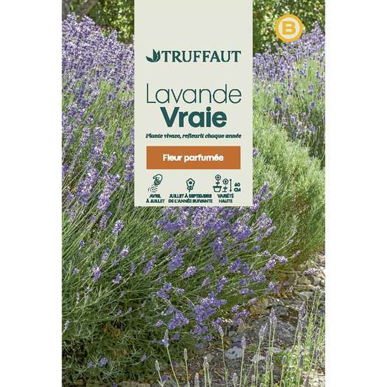 Lavande variée : en sachet