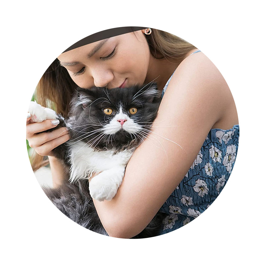 Katzen Halsband mit Apple AirTag Silikon Halterung   Reflektor / Glöckchen / Adressanhänger - Blau