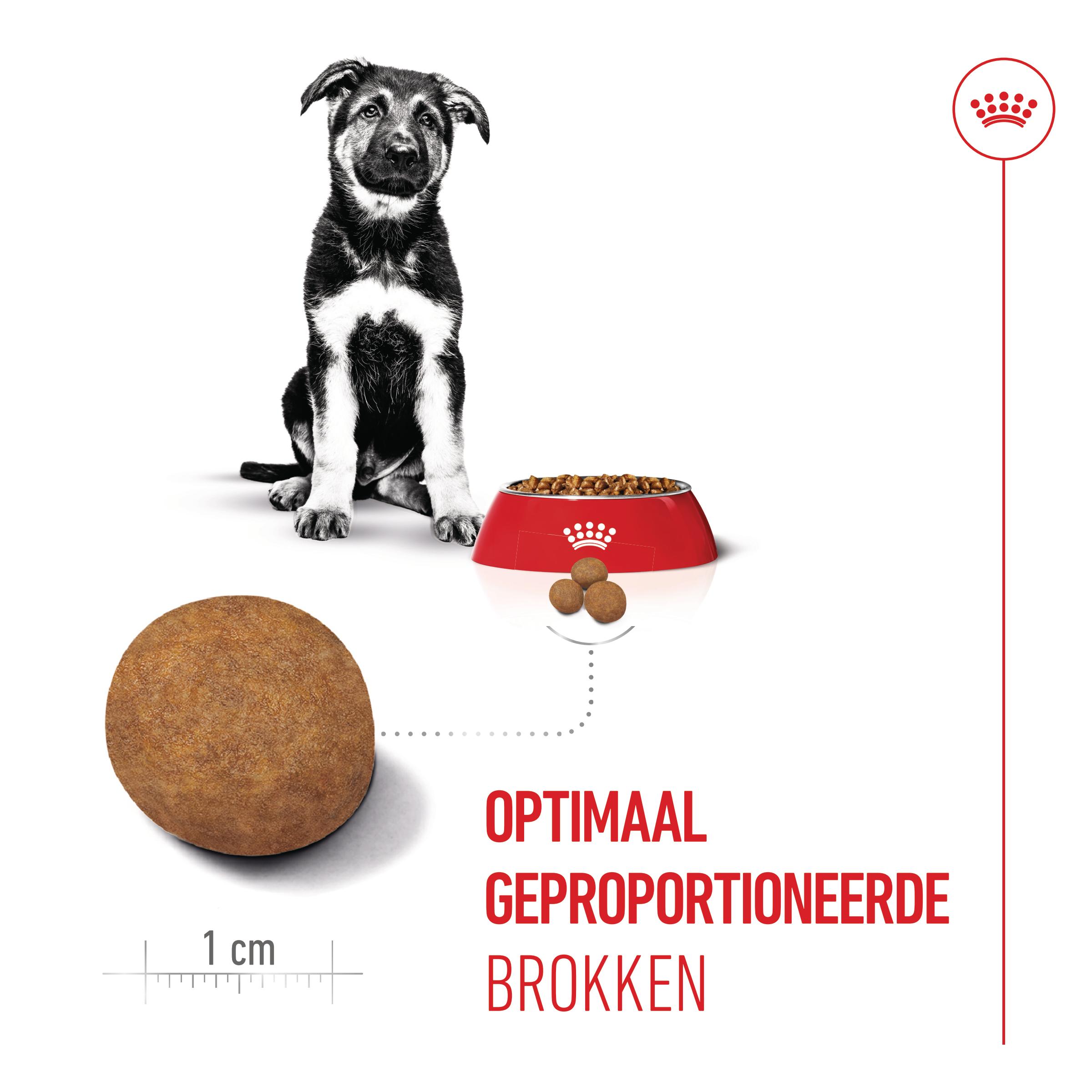 Royal Canin Maxi Puppy - Hondenvoer