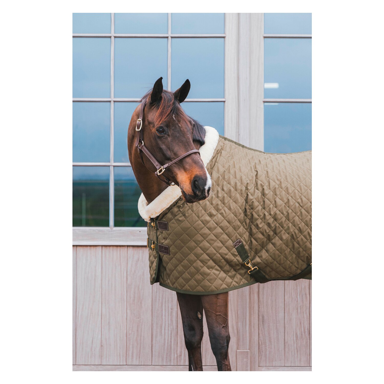 KENTUCKY Show Rug - khaki