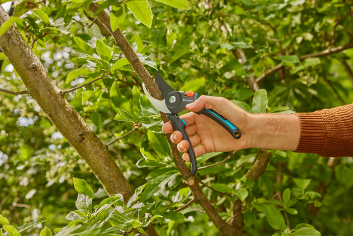 Gardena beskæresaks PremiumCut Pro