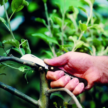 Fiskars tuinmes