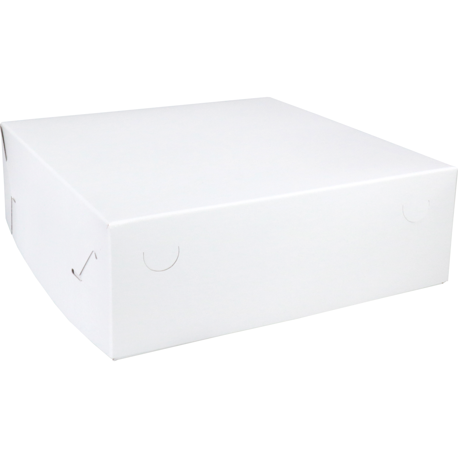 Zwanenhals/ verzenddoos, karton, 30x30x10cm, duplex, wit