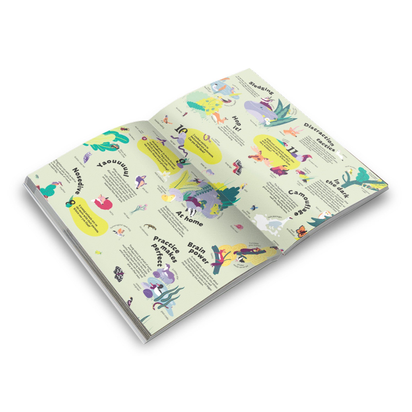 Book Alp Explorer