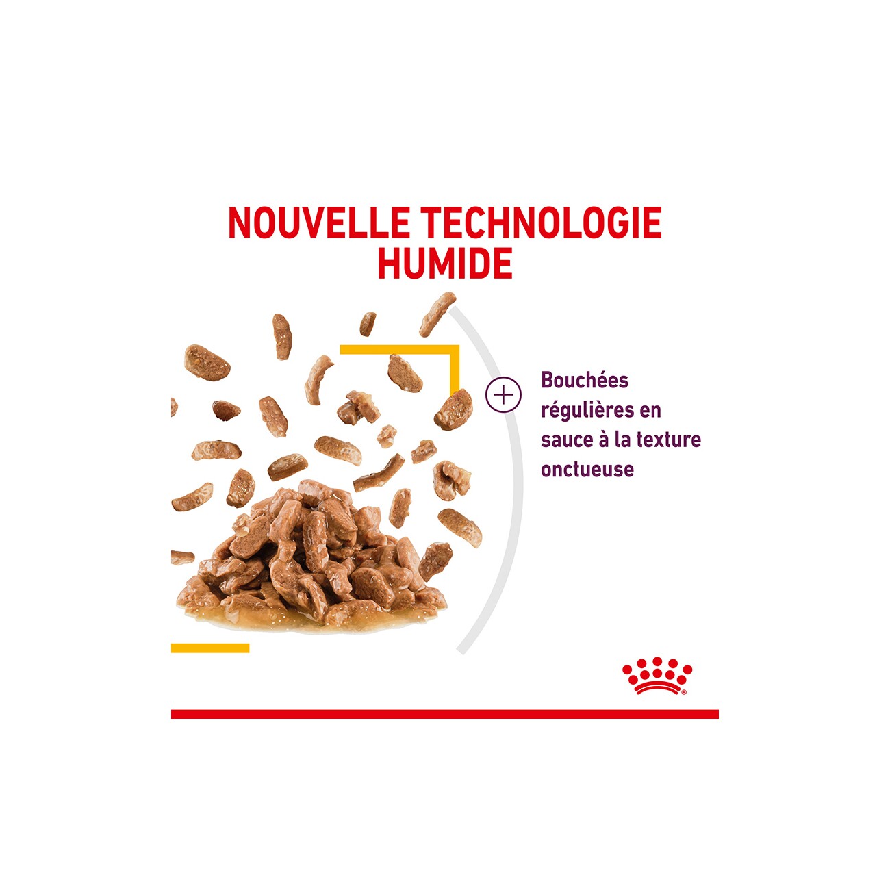 ROYAL CANIN Sensory Taste in Soße für wählerische Katzen 12x85 g