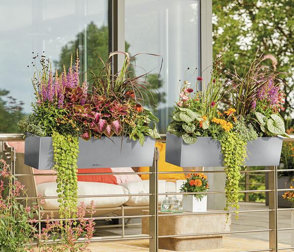 LECHUZA® Edelstahl-Kasten Balconcera Steel,