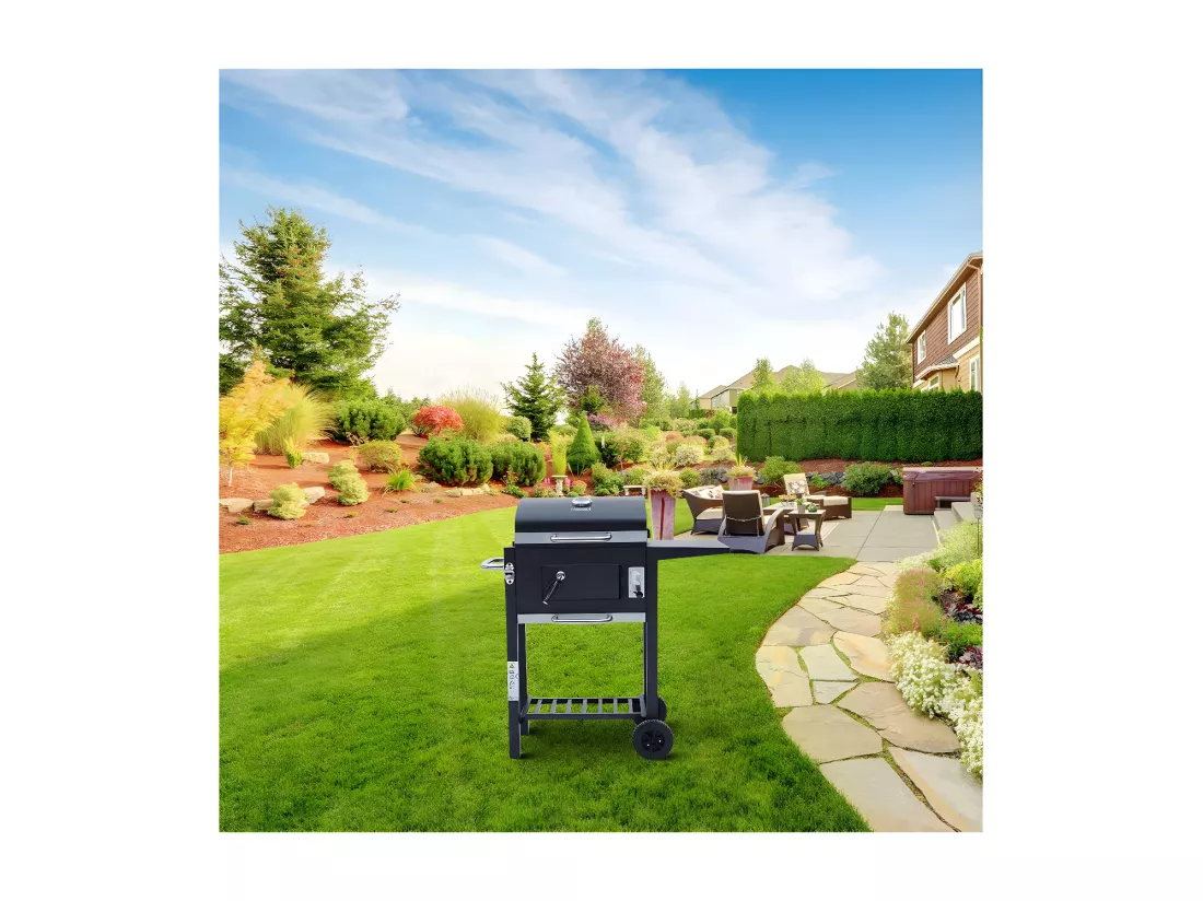 Barbecue charbon de bois 