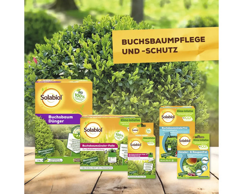 Buxusmottenval Solabiol