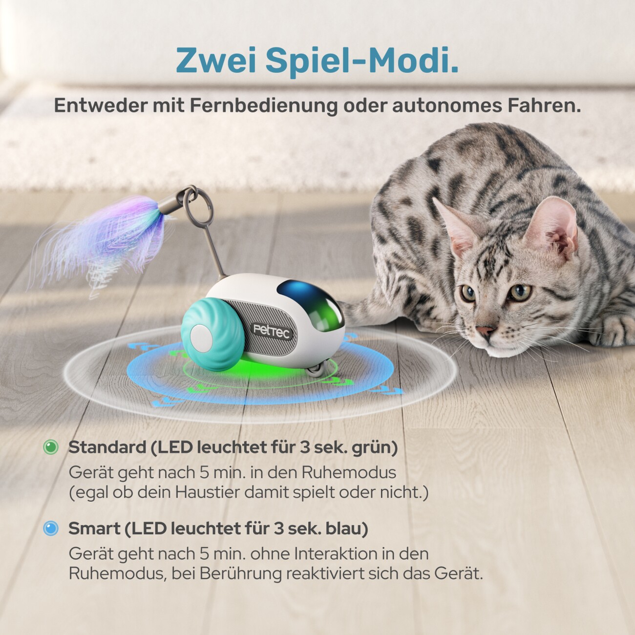PetTec Pet Toy RC Car - interaktives Katzenspielzeug