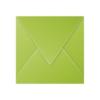 Pollen - 20 Enveloppes - 140 x 140 mm - 120 g/m² - vert menthe