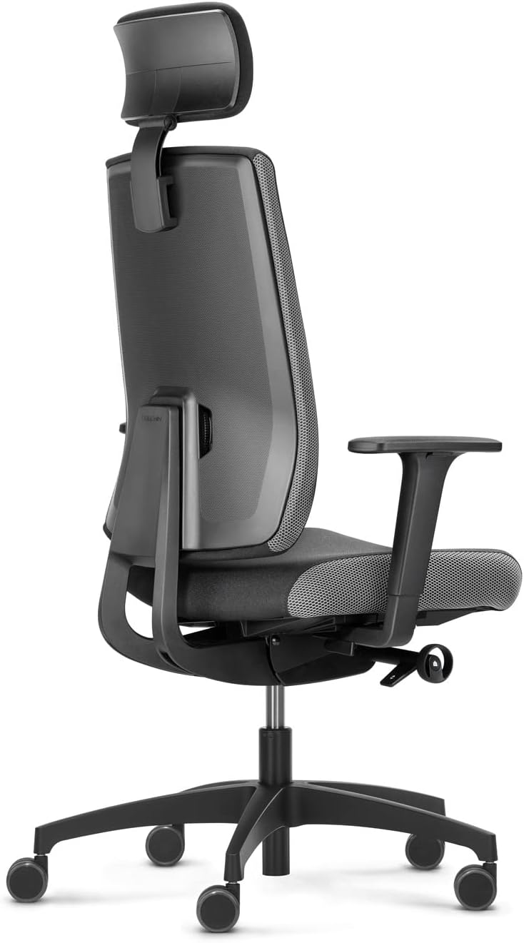 Dauphin Indeed Performance Operator, ergonomischer Bürostuhl & tiefenverstellbarer Lordosenstütze, höhenverstellbarer Kopfstütze, 2F-Armlehnen, Drehstuhl (Polsterrückenlehne + Kopfstütze)