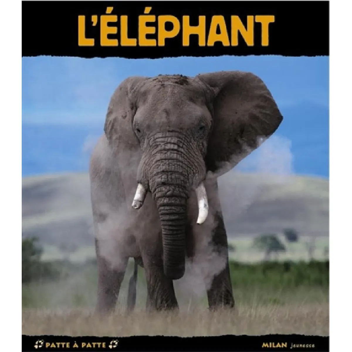 L'éléphant · Occasion