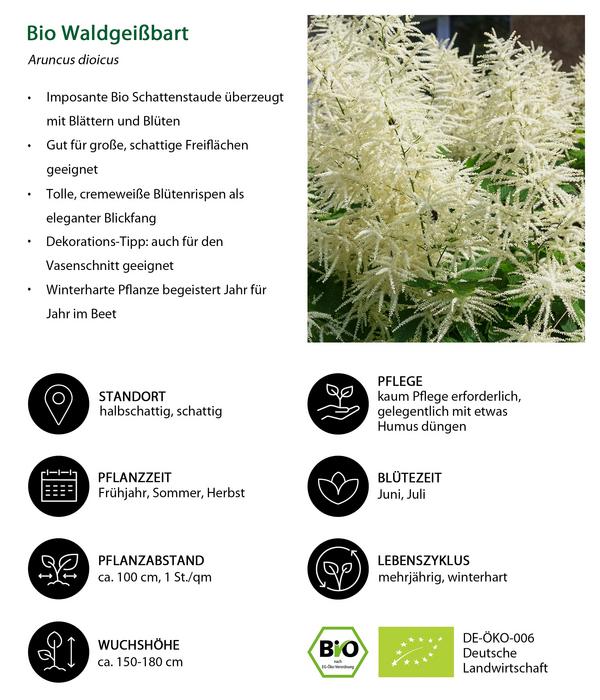 Bio Stauden-Set Schattenplatz, Landlust