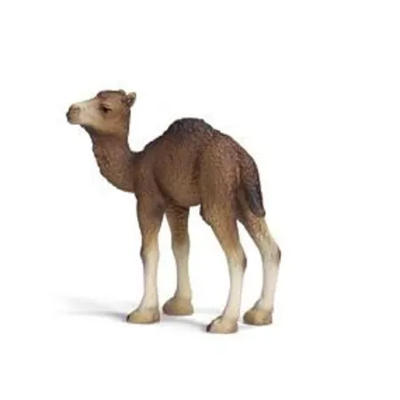Schleich® 14356 Dromedar Fohlen