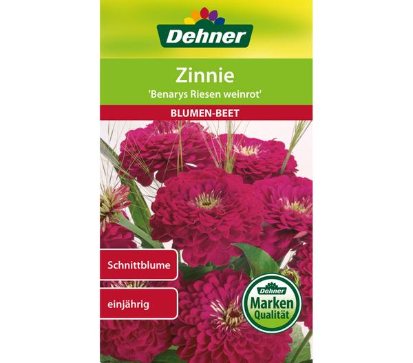 Dehner Samen Zinnie 'Benarys Riesen weinrot'