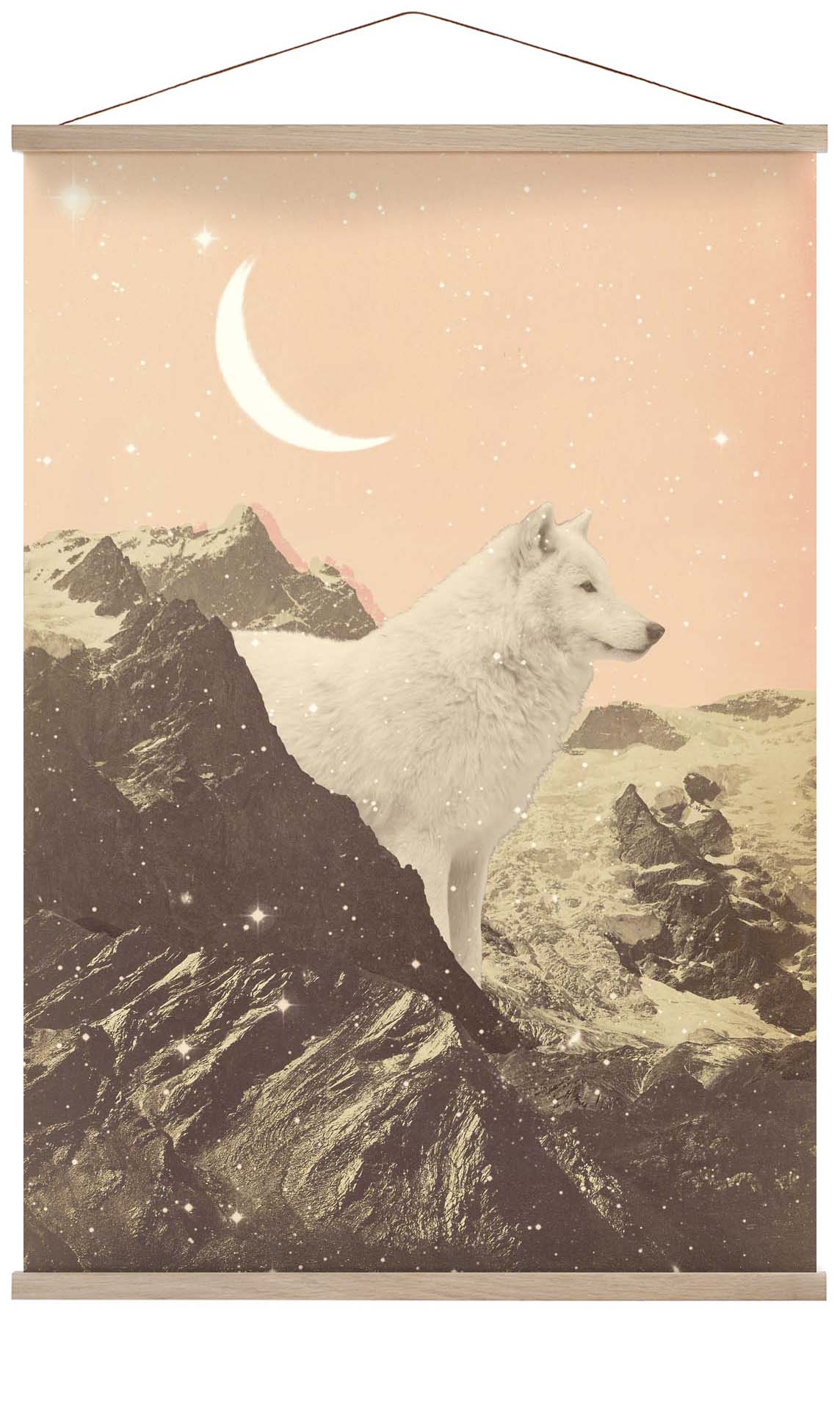 Riesiger weißer Wolf in den Bergen von Florent Bodart