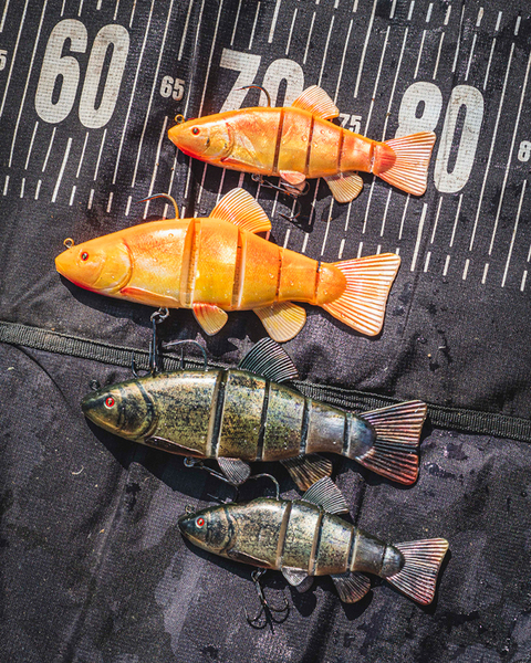 Leurre souple Fox Rage Replicant Jointed Tench Swimbait 18cm
