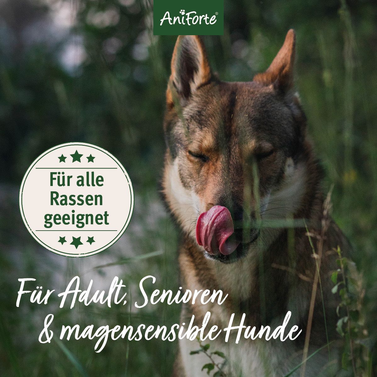 AniForte Trockenfutter FreelandDuck - Leckere Ente mit Hirse