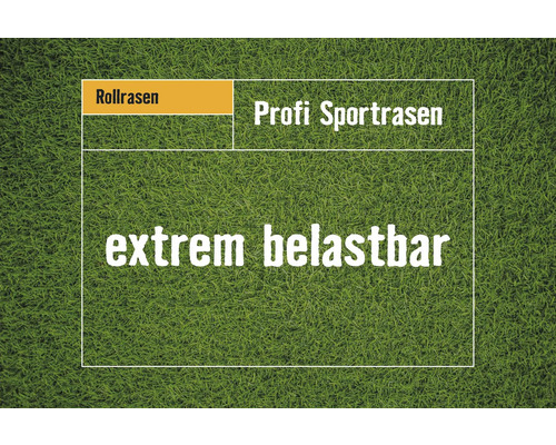 Professionele sportgrasrollen, bestelhoeveelheid 40-49 m², dagelijks vers gesneden
