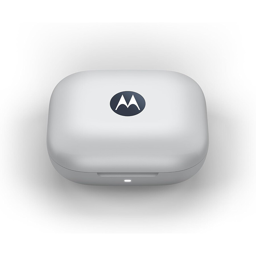 Motorola Buds - Marine