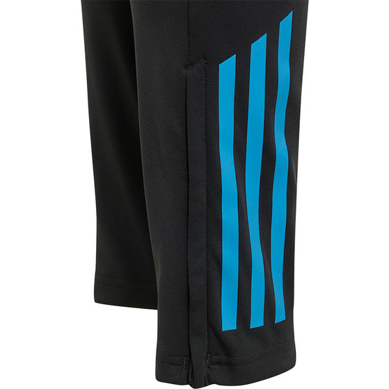 adidas Argentinië Training Pant Kids 2024/2026