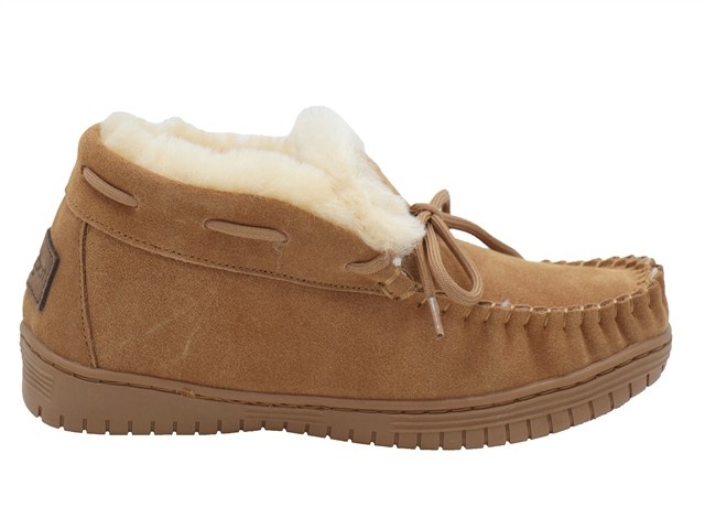 Warmbat Bunya