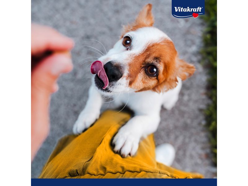 Vitakraft Kausnack Pure Duck Bonas Sticks 200 g Kausnack für Hunde