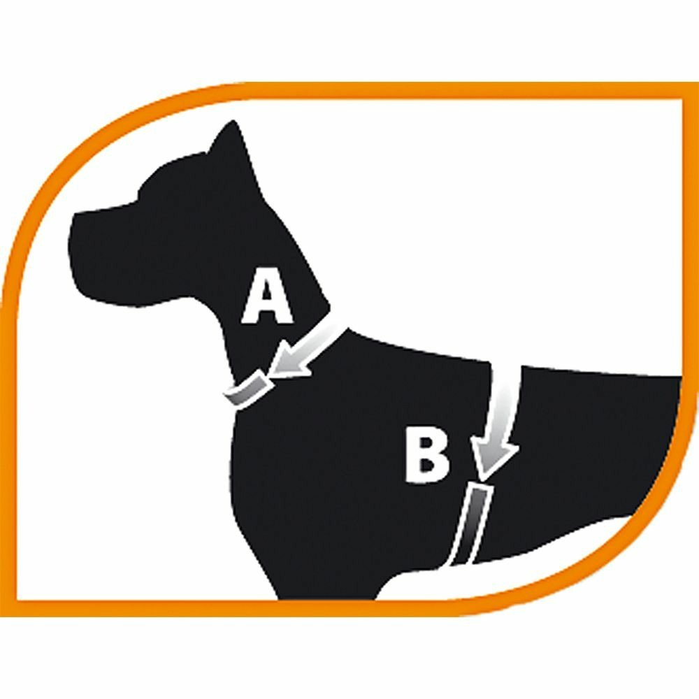 Harnais pour chiens nikita fashion xs, respirant, rembourré et ajustable