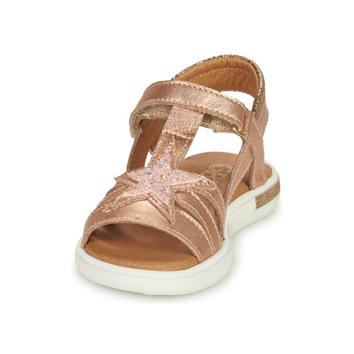 GBB - SATY - Rose