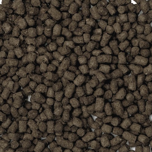 Alimento granulado Bug Bites para tartarugas