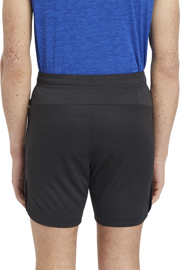 Energetics Tindor træningsshorts Sort