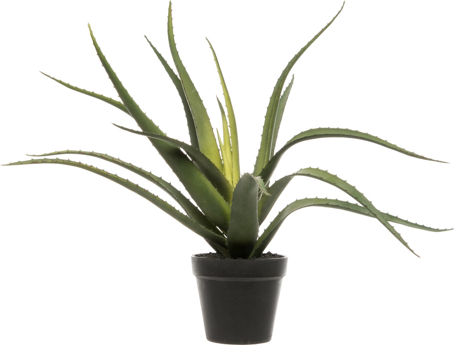 Intratuin kunstplant Aloë Vera D 15 H 46 cm