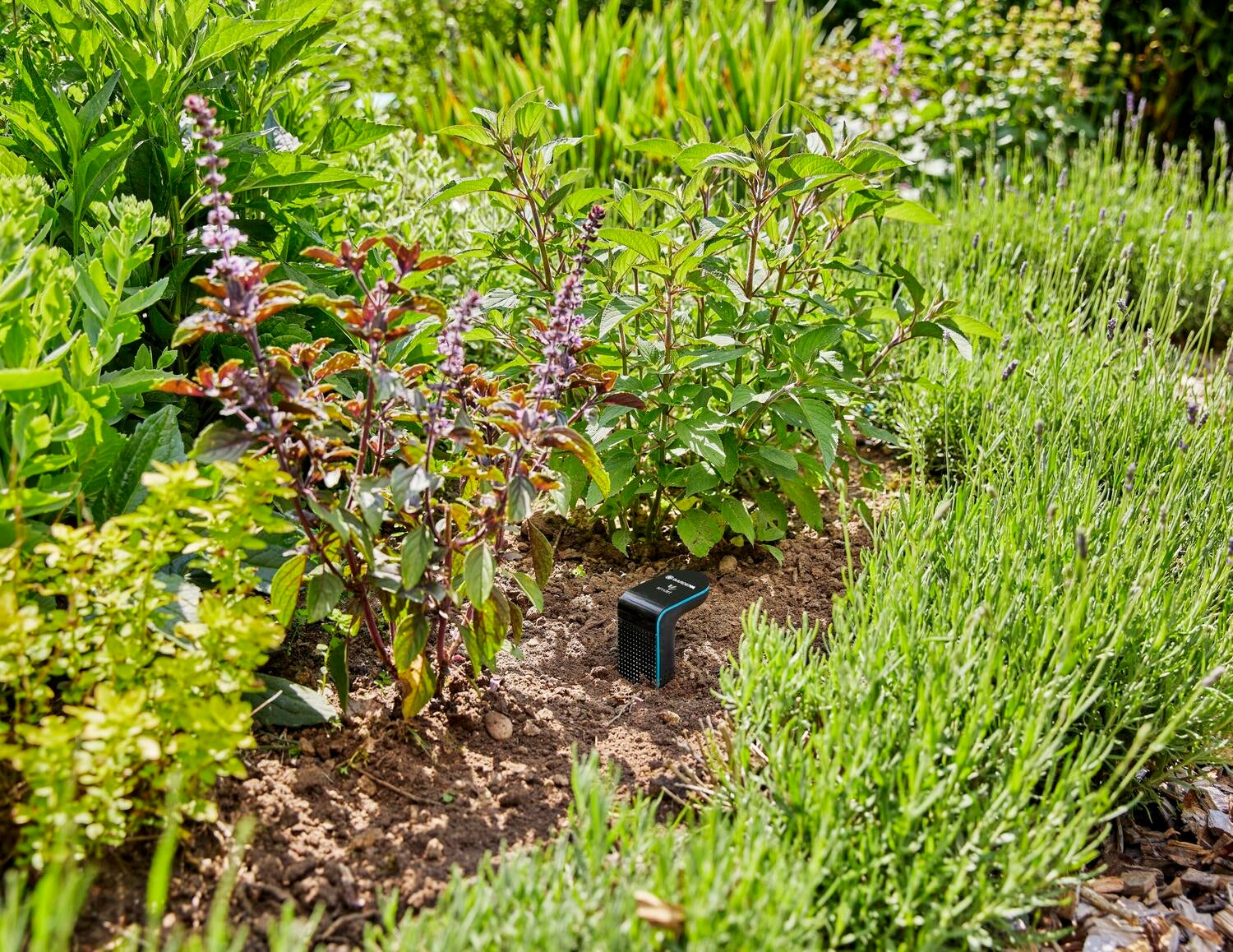Gardena smart sensor