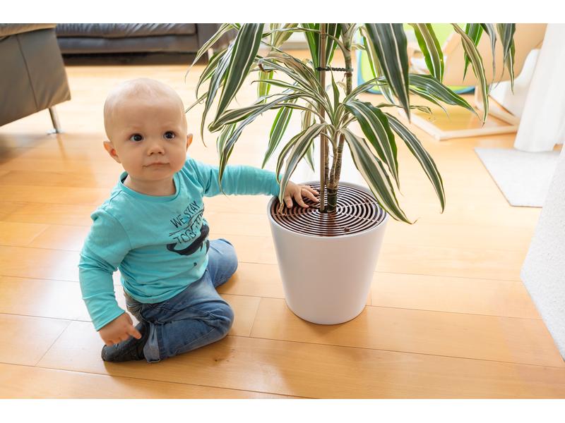 Abus Pflanzentopfgitter Noah 2er Set Blumentopfgitter 2er Set Noah bis zu 30 cm, zuschneidbar