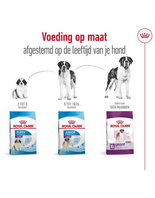 Royal Canin Giant Adult - Hondenvoer