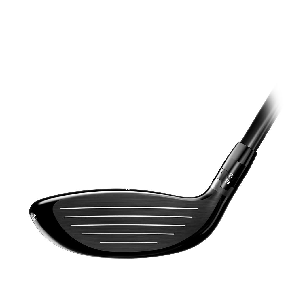 GT2 Wood Premium Skaft