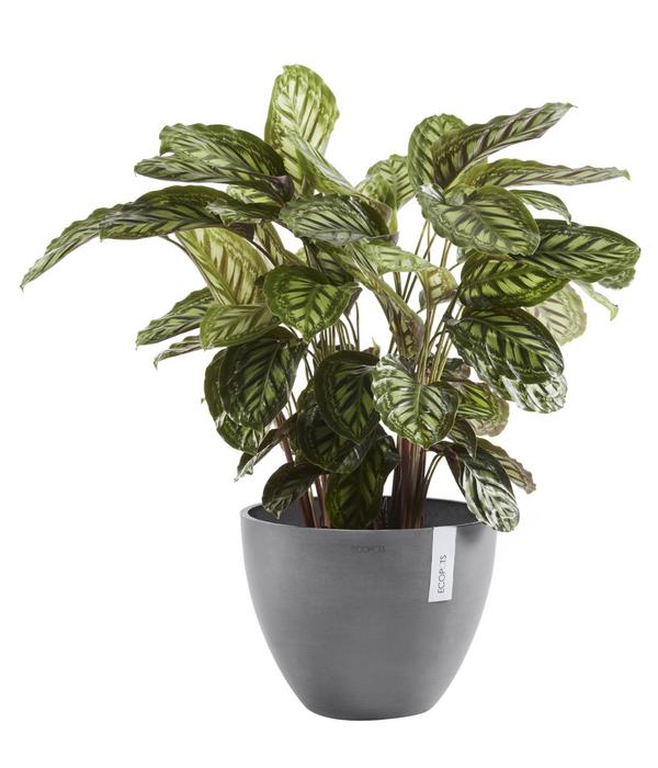 Ecopots Kunststoff-Topf Antwerp, rund