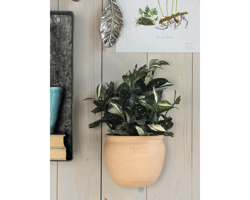 Kunstplant Cordyline (Colubrid) Ø 25 H 35 cm groen