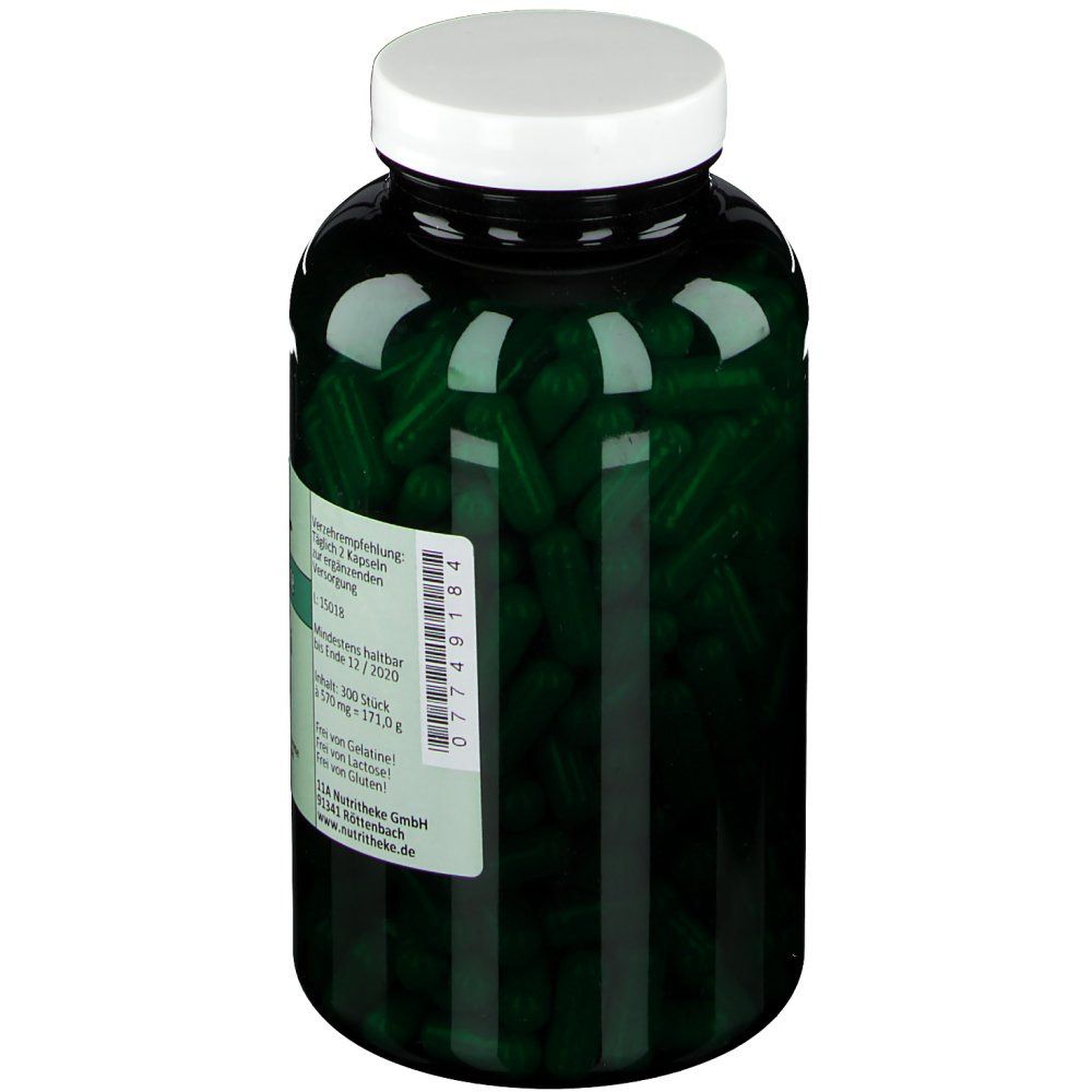 green line NUTRITHEKE Reishi