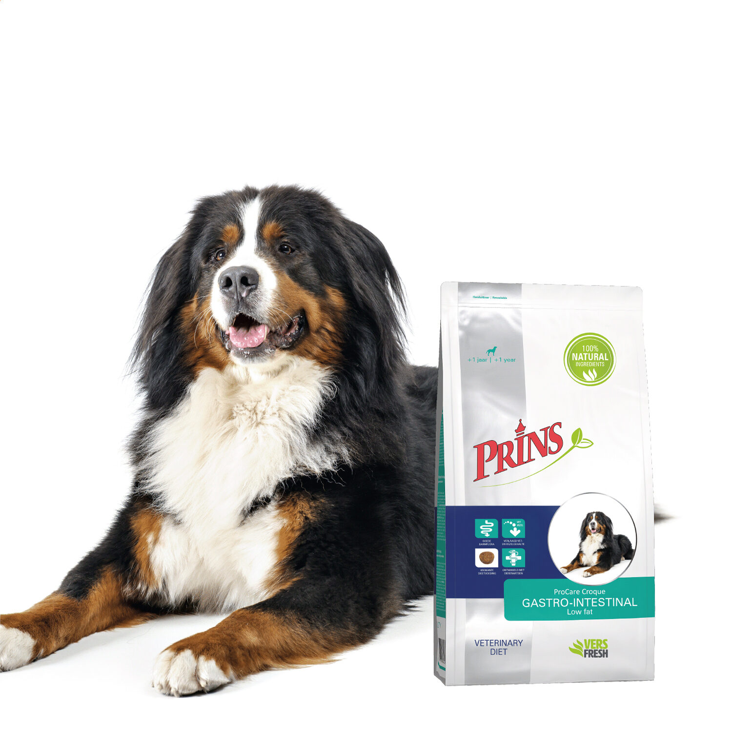 Prins ProCare Croque Veterinary Diet - Gastro Intestinal Low Fat