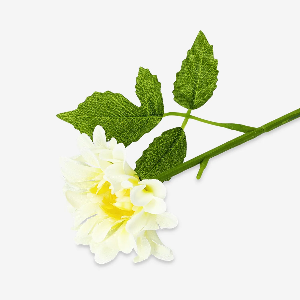 Dekorativ hvid blomst