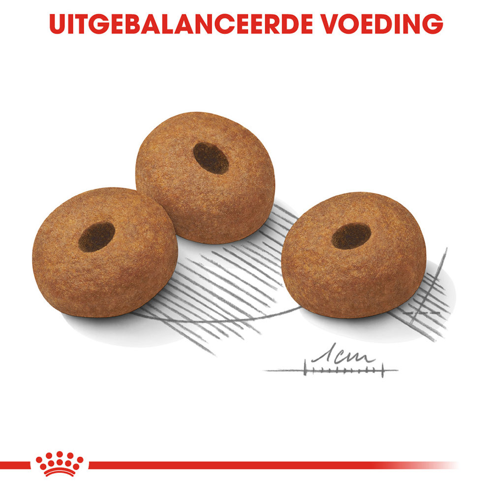 Royal Canin Maxi Light Weight Care - Hondenvoer