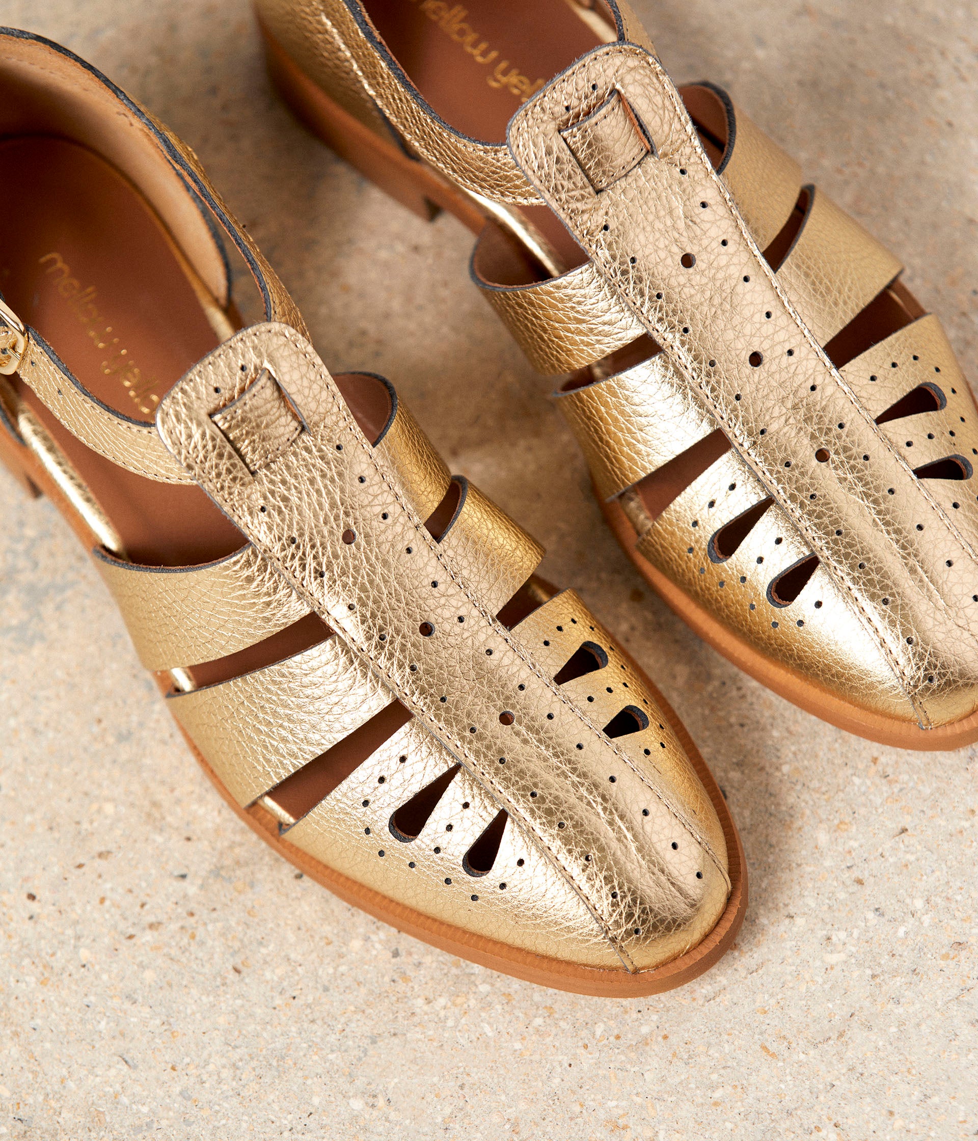 Derbies or Coline