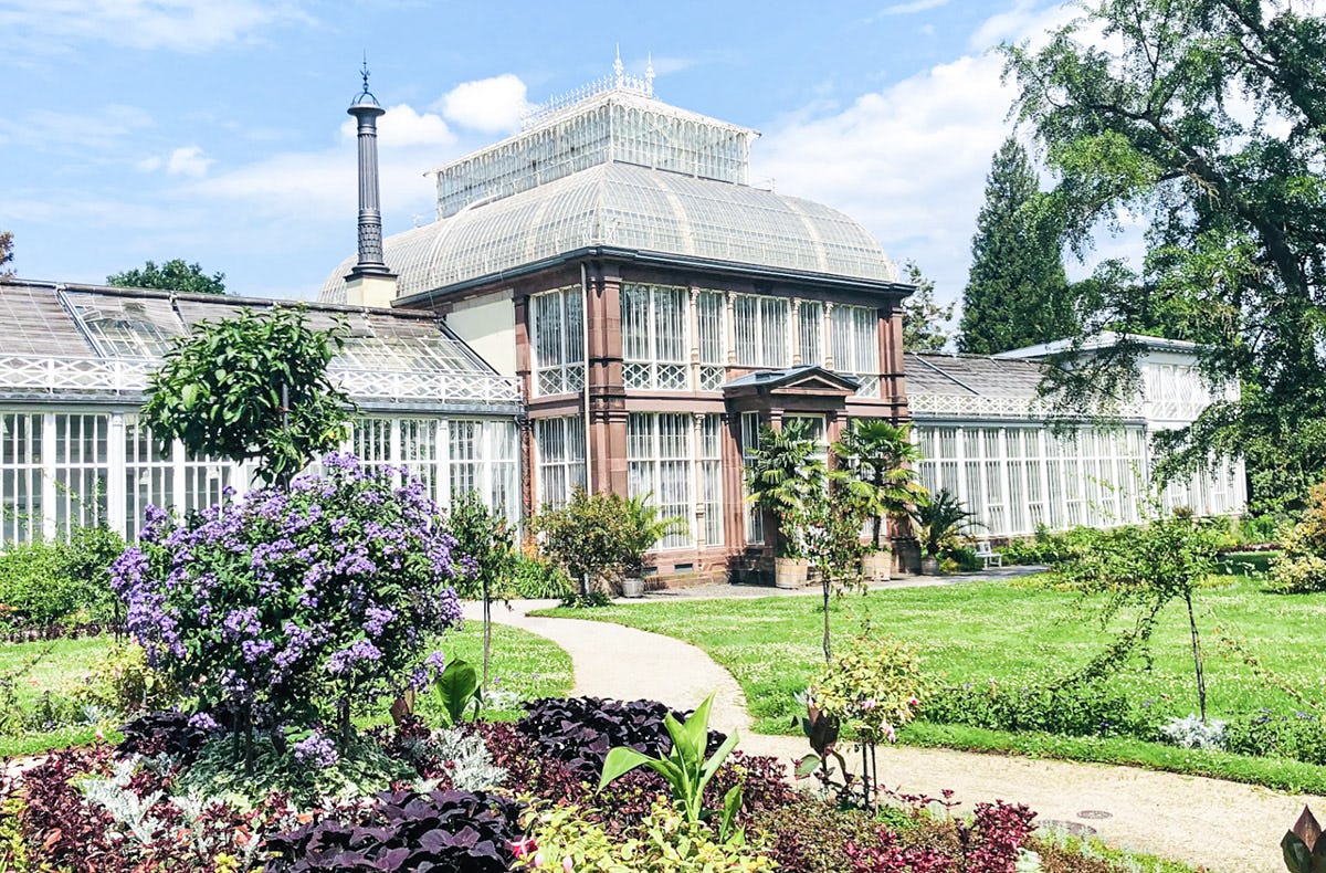Stadtkrimi Kassel