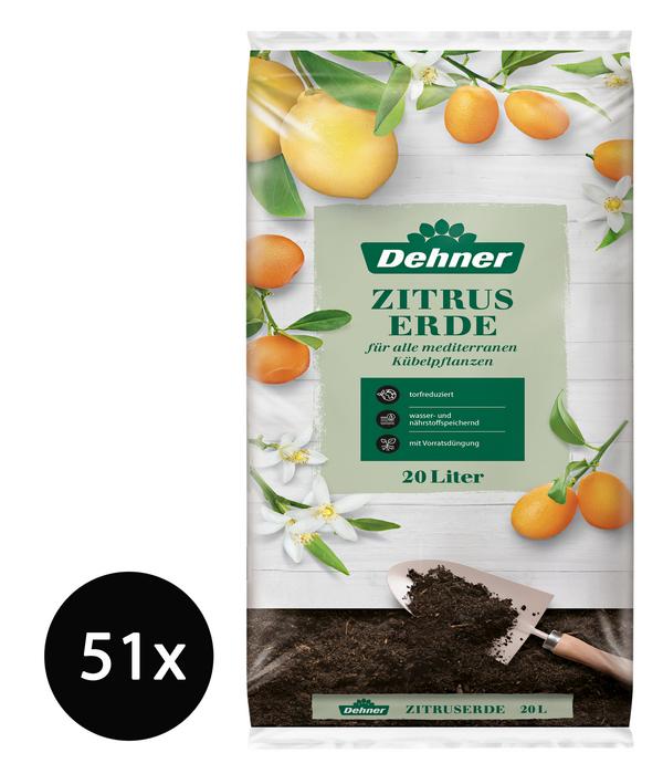 Dehner Zitruserde, 51 x 20 Liter